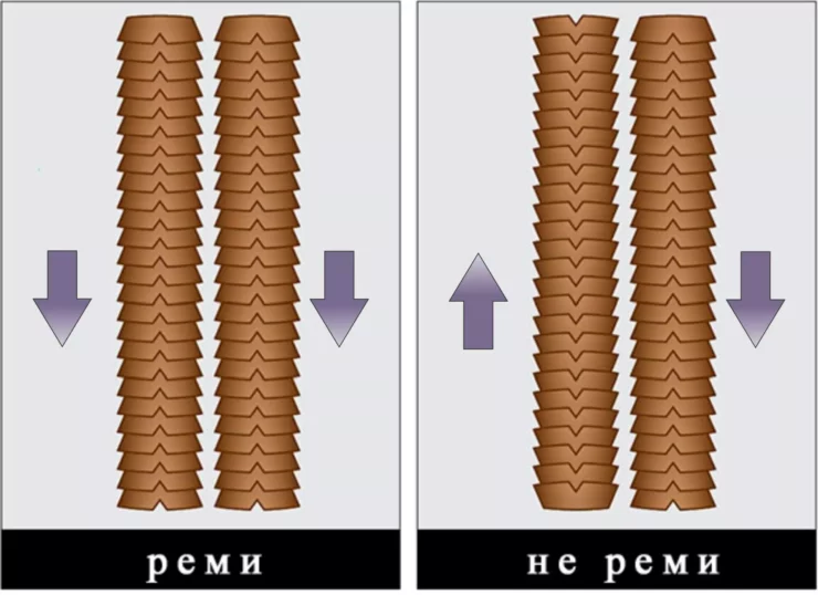 волосы Реми Remy